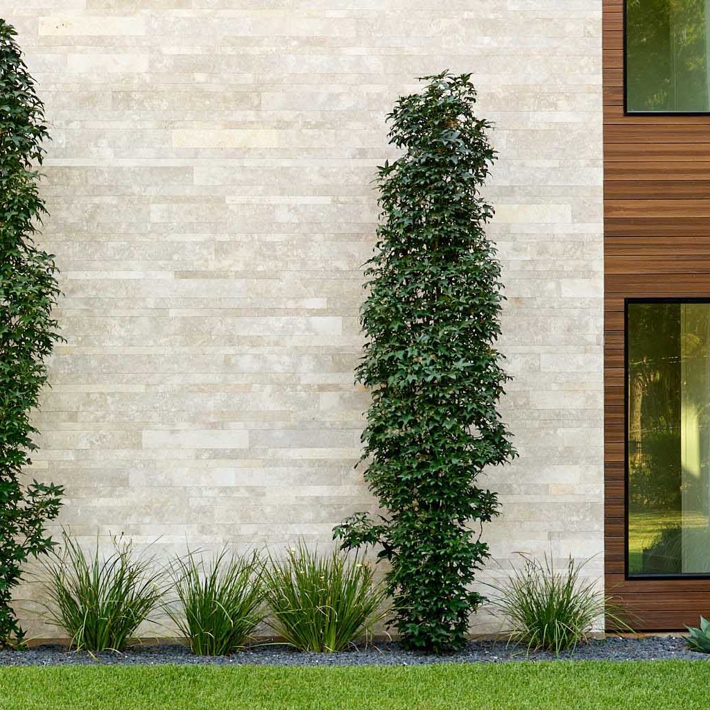 Stone Wall Panel : White Creame
